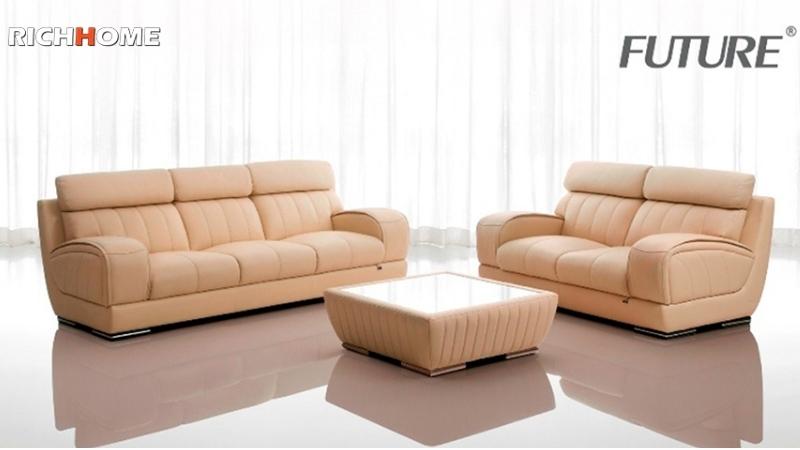 mua-sofa-cho-phong-khach-o-dau-future-model-7029-23