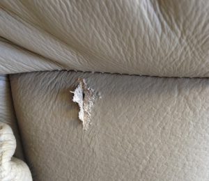 sofa-bi-rach sofa bị rách