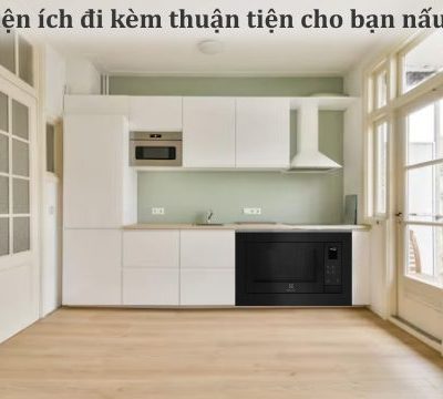 Lò vi sóng ELECTROLUX EMSB25XG